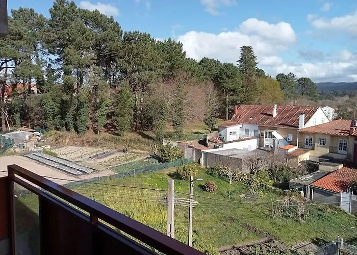 Vikingo * Катойра