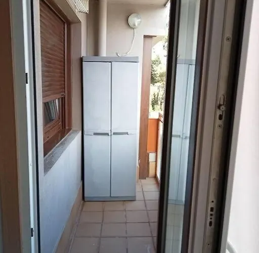 Vikingo * Катойра