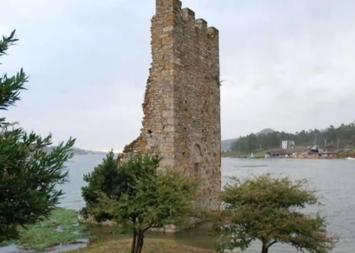 Vikingo * Катойра